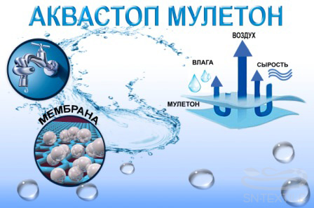 muleton